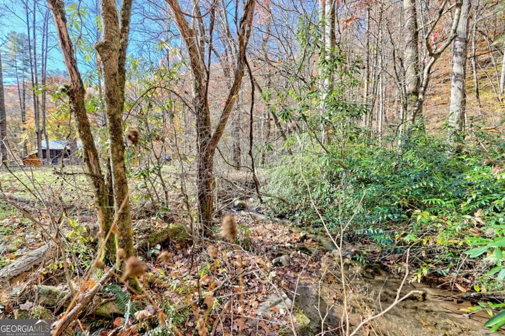 1307 Clear Creek RD Hayesville, NC 28904