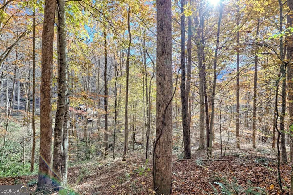 1307 Clear Creek RD Hayesville, NC 28904