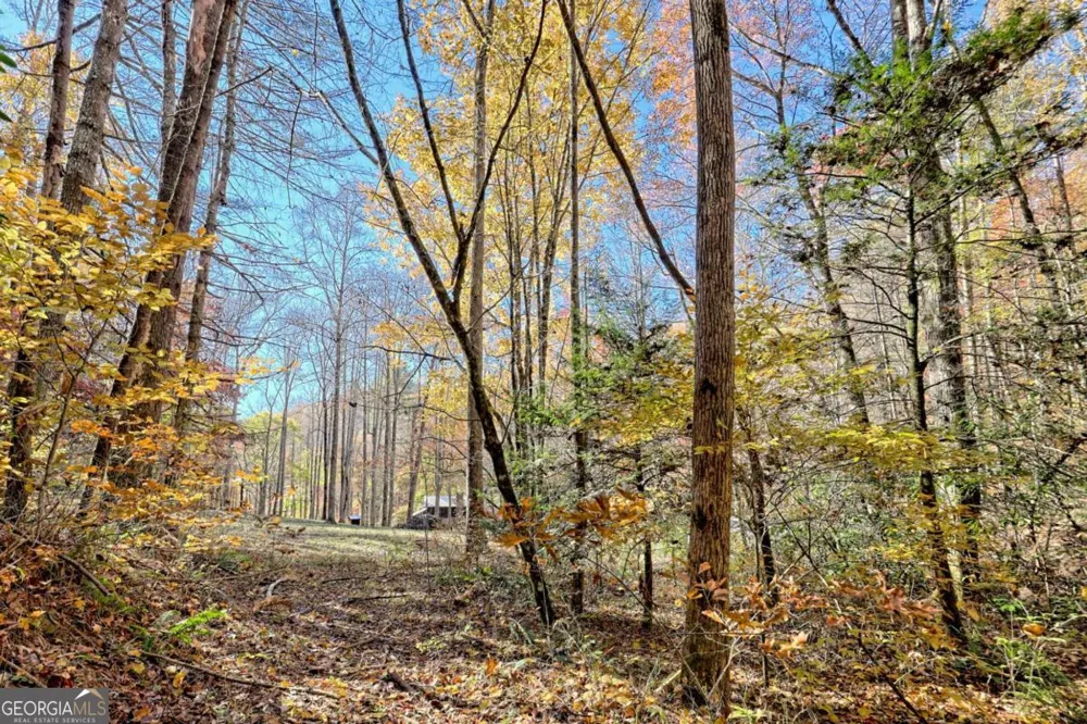 1307 Clear Creek RD Hayesville, NC 28904