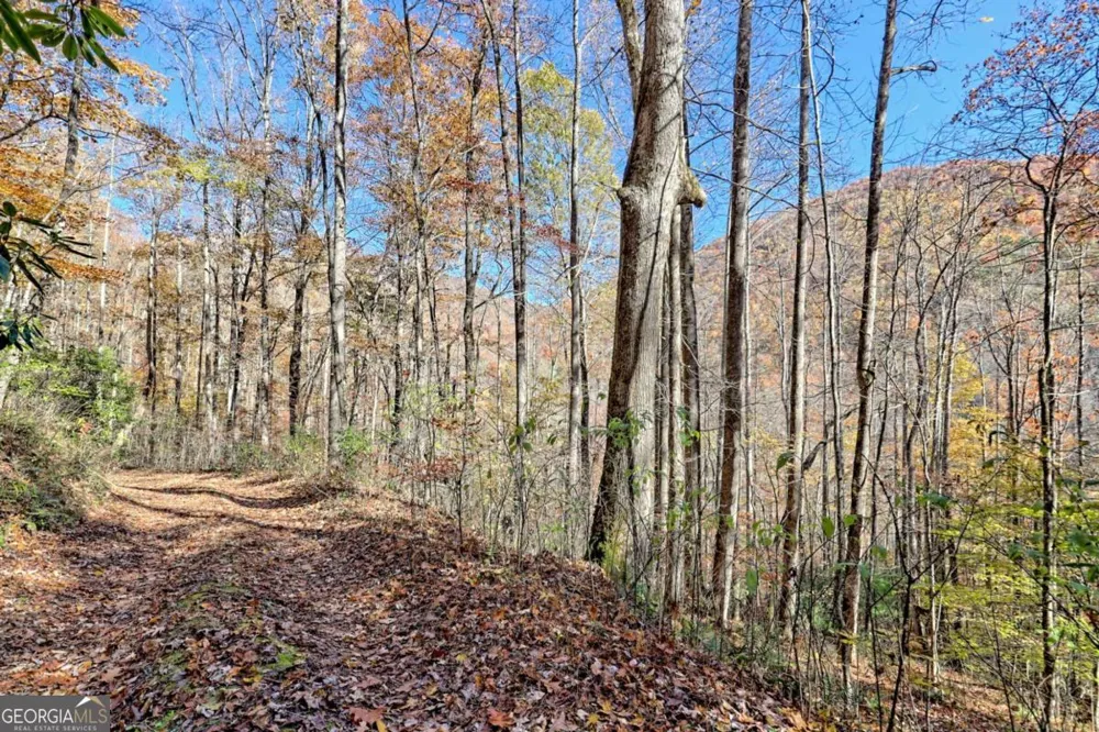 1307 Clear Creek RD Hayesville, NC 28904