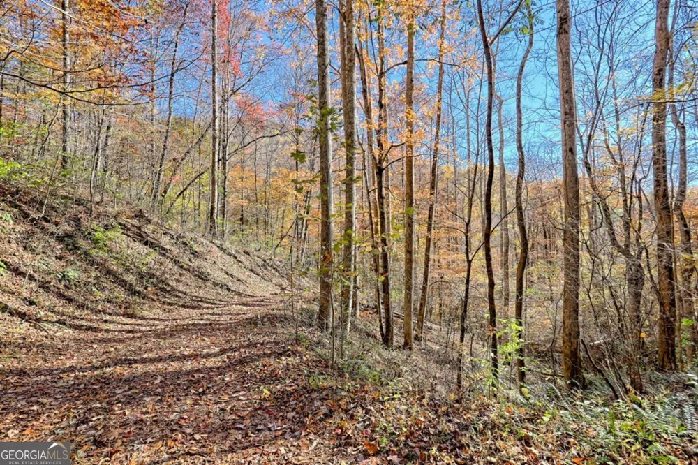 1307 Clear Creek RD Hayesville, NC 28904