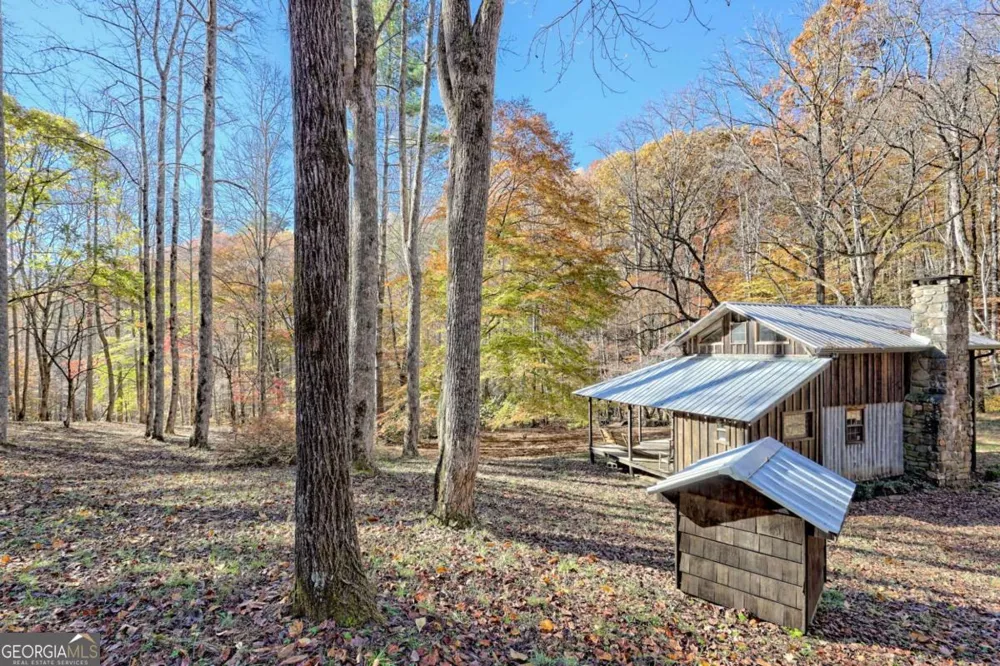 1307 Clear Creek RD Hayesville, NC 28904