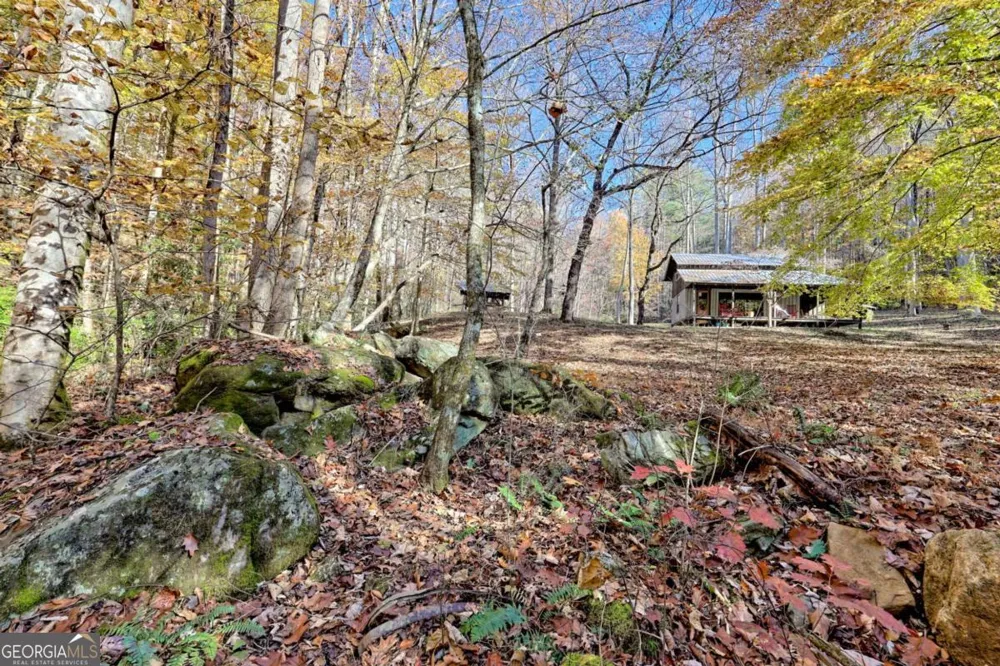 1307 Clear Creek RD Hayesville, NC 28904