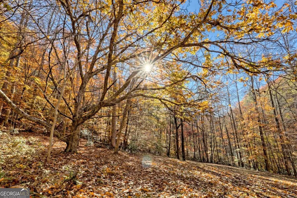 1307 Clear Creek RD Hayesville, NC 28904