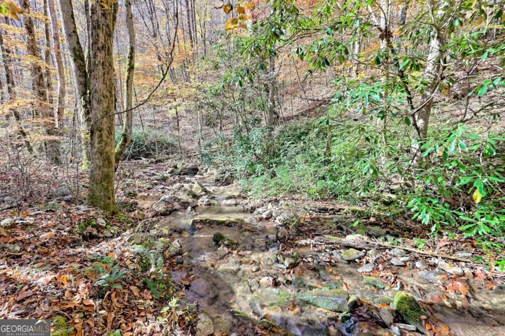 1307 Clear Creek RD Hayesville, NC 28904