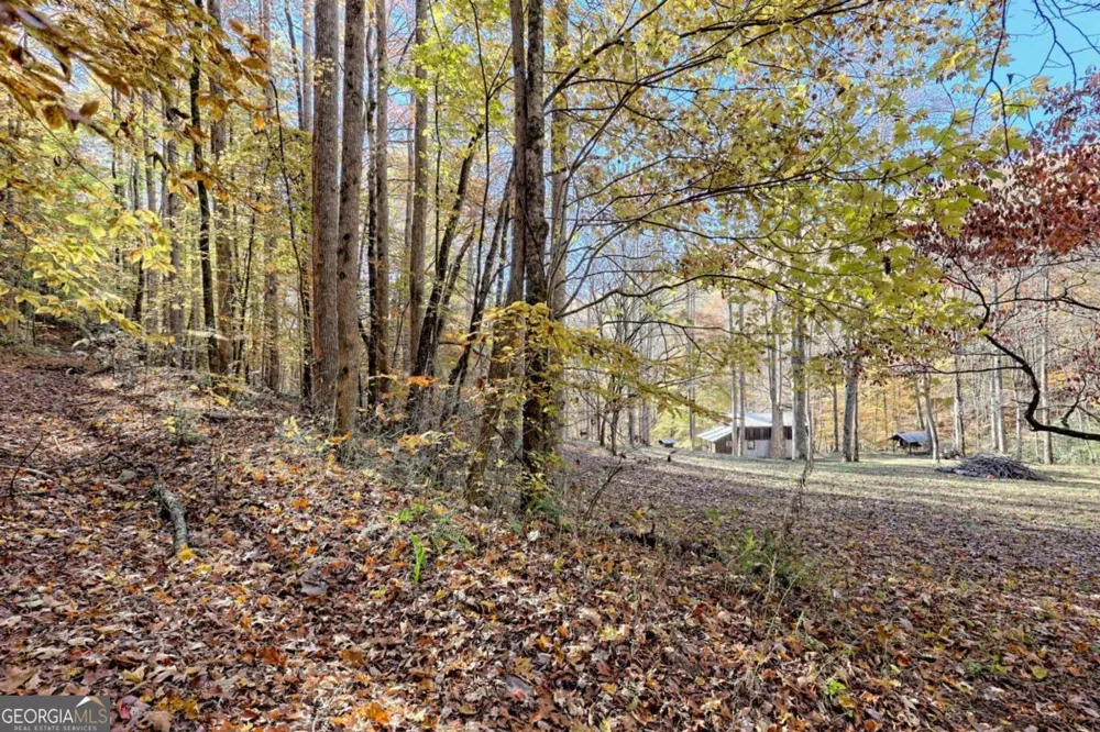 1307 Clear Creek RD Hayesville, NC 28904