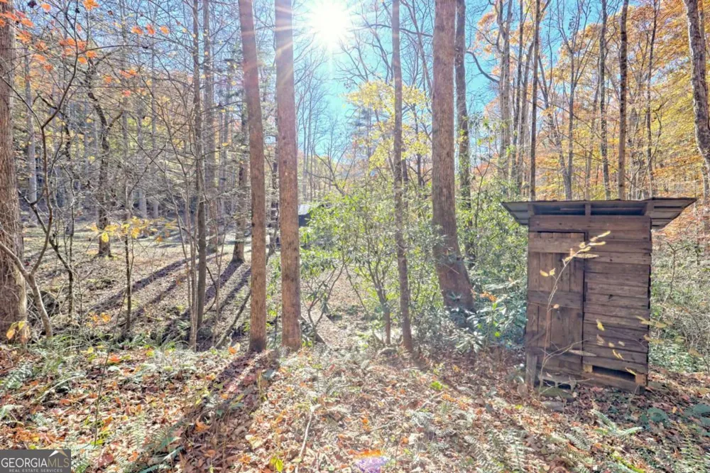 1307 Clear Creek RD Hayesville, NC 28904