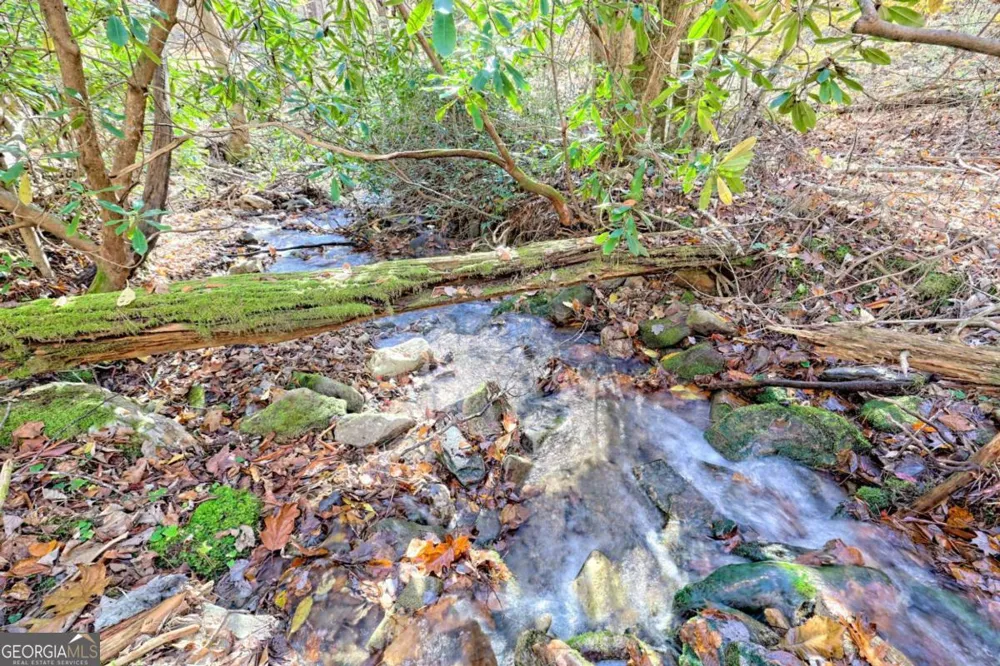 1307 Clear Creek RD Hayesville, NC 28904