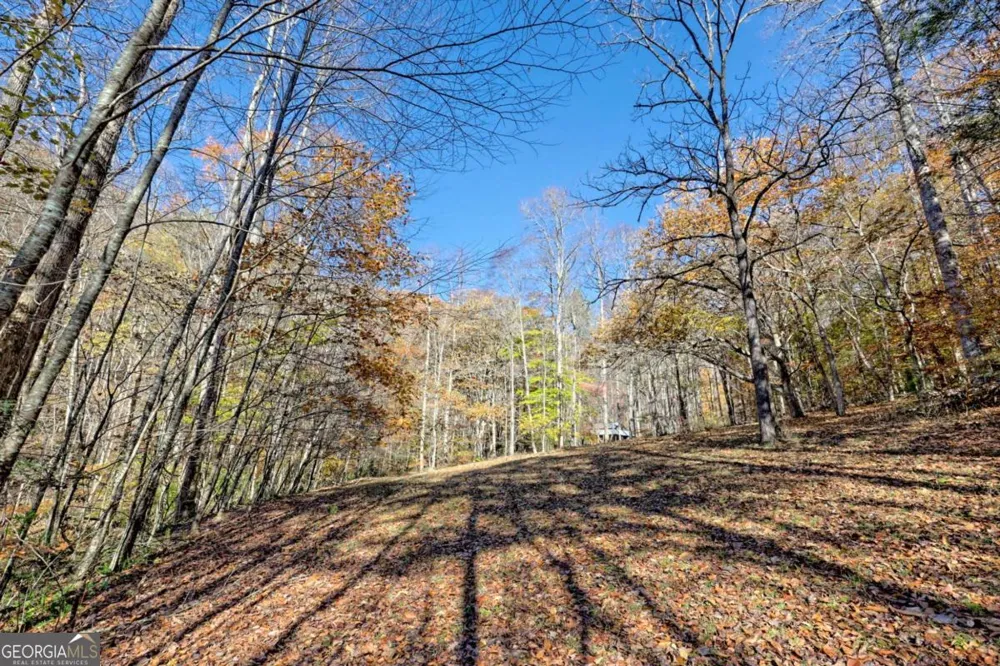 1307 Clear Creek RD Hayesville, NC 28904