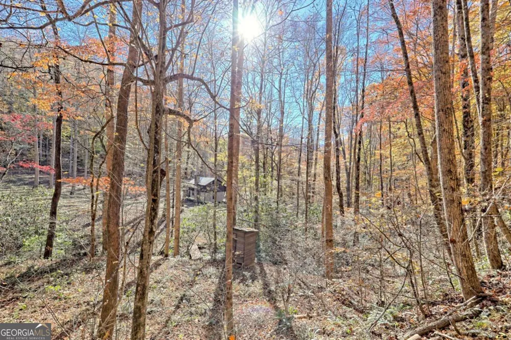 1307 Clear Creek RD Hayesville, NC 28904