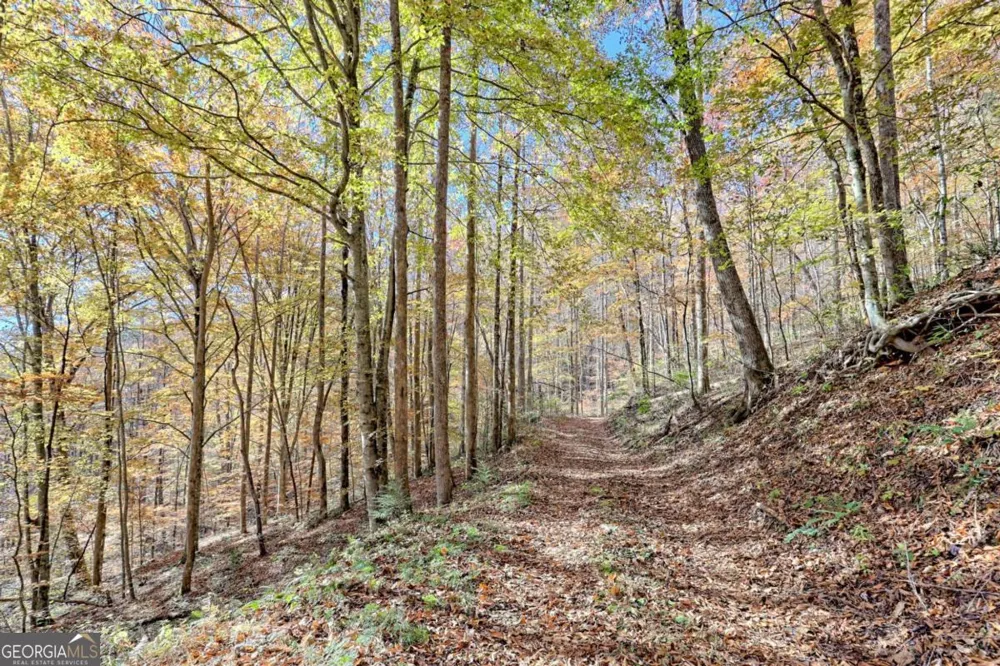 1307 Clear Creek RD Hayesville, NC 28904
