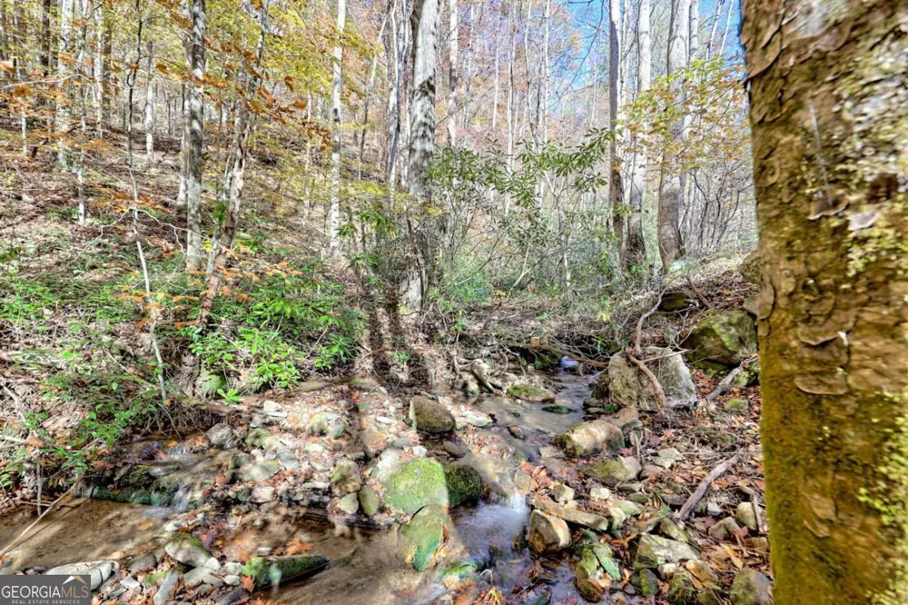 1307 Clear Creek RD Hayesville, NC 28904