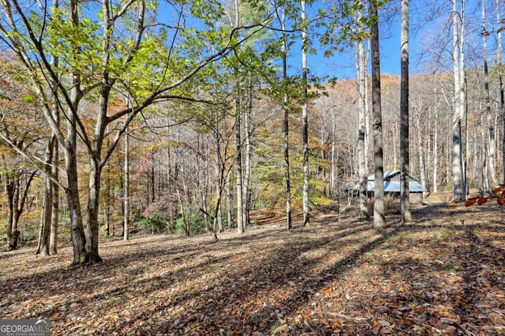 1307 Clear Creek RD Hayesville, NC 28904
