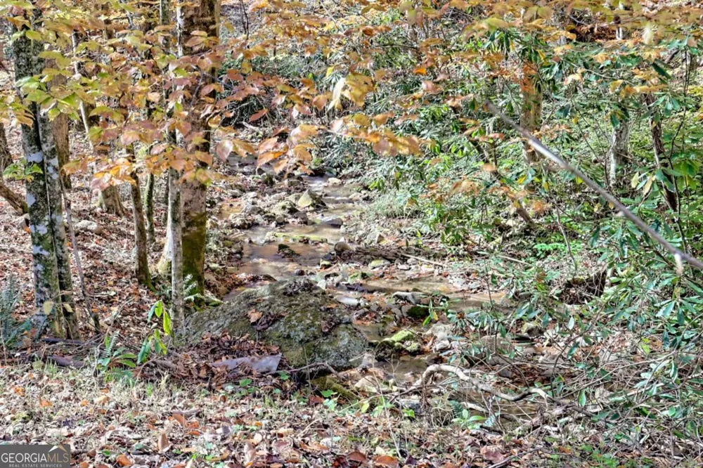 1307 Clear Creek RD Hayesville, NC 28904