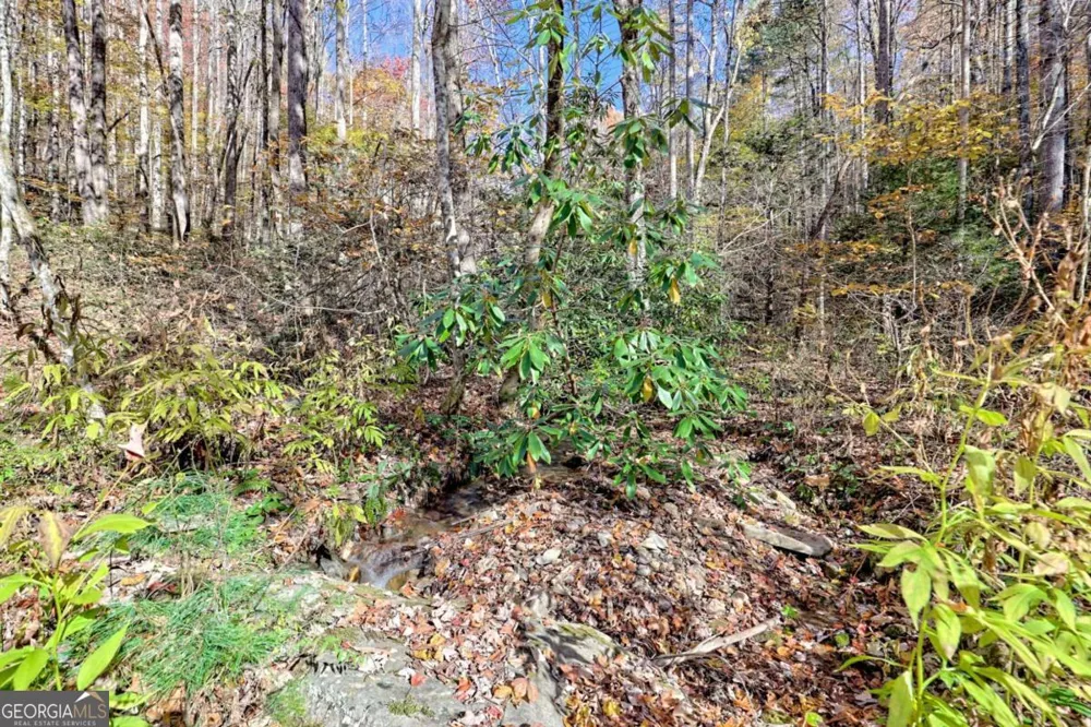 1307 Clear Creek RD Hayesville, NC 28904