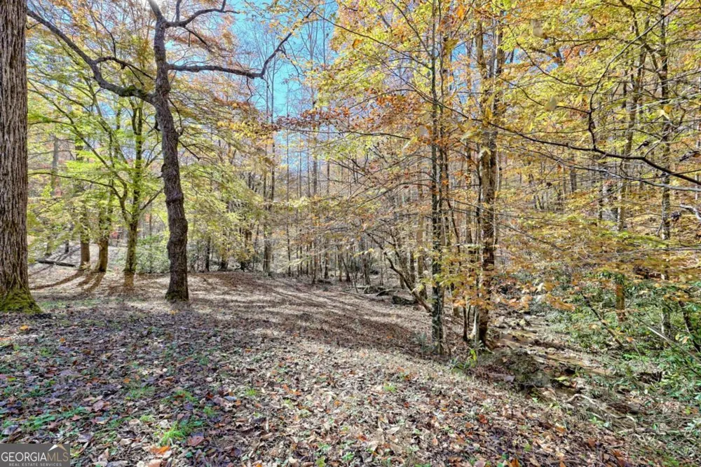 1307 Clear Creek RD Hayesville, NC 28904