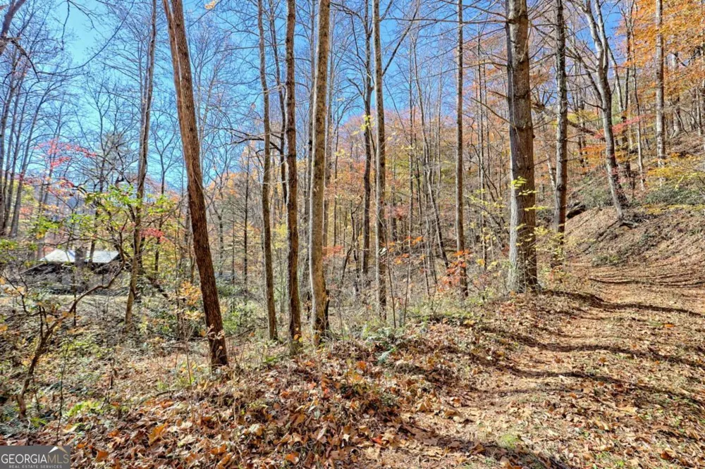 1307 Clear Creek RD Hayesville, NC 28904