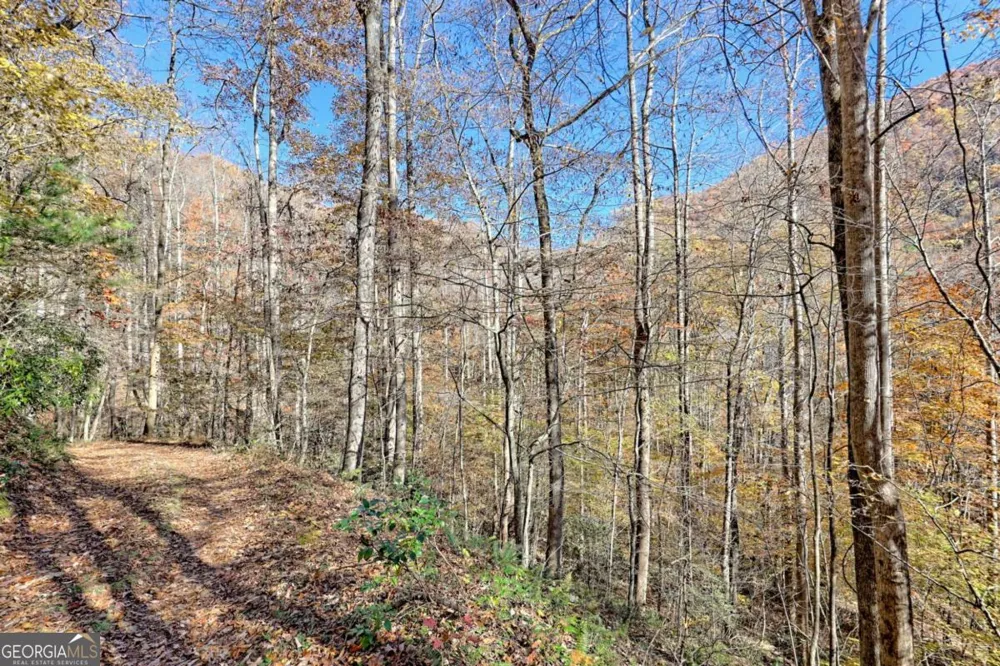 1307 Clear Creek RD Hayesville, NC 28904