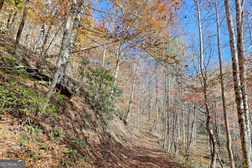 1307 Clear Creek RD Hayesville, NC 28904