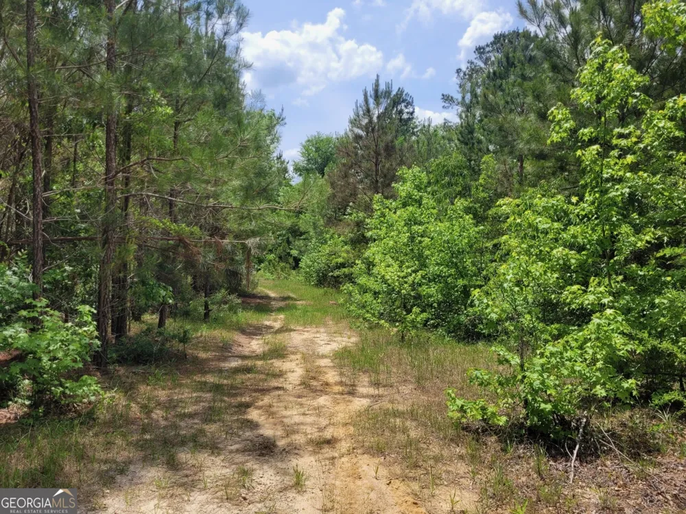 0 Liberty Grove Church RD Wrightsville, GA 31096