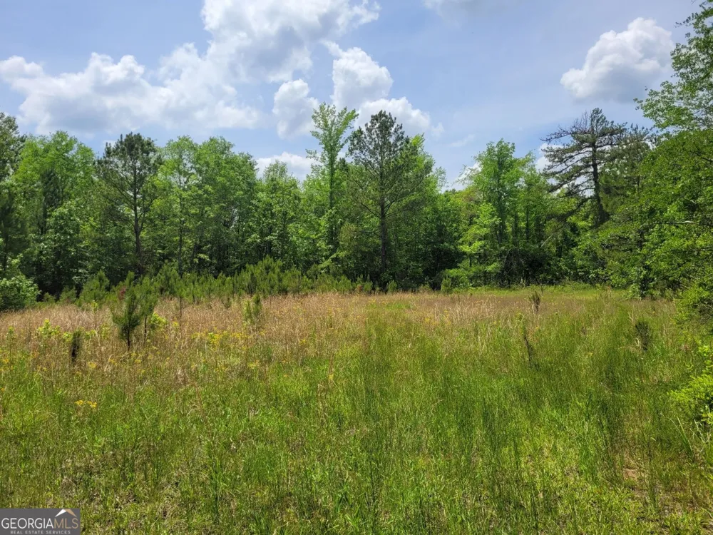 0 Liberty Grove Church RD Wrightsville, GA 31096