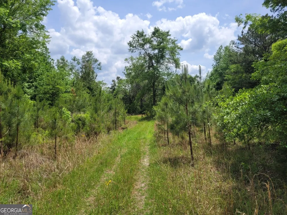 0 Liberty Grove Church RD Wrightsville, GA 31096
