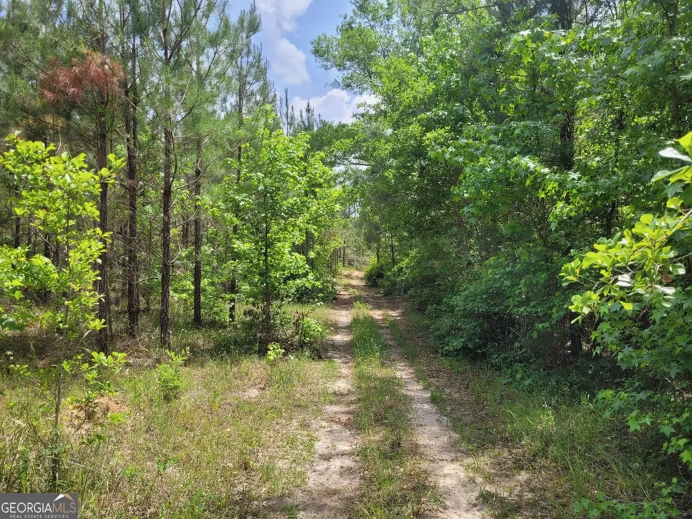 0 Liberty Grove Church RD Wrightsville, GA 31096