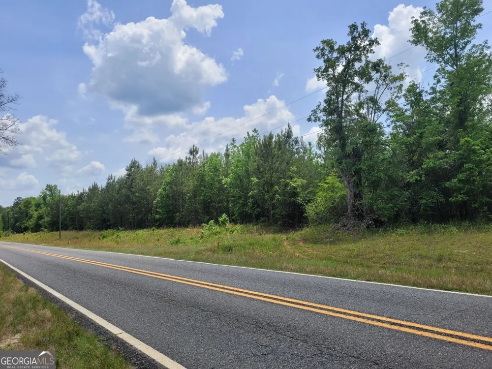 0 Liberty Grove Church RD Wrightsville, GA 31096