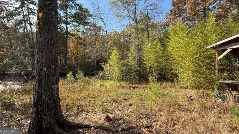 618 S Steel Bridge Road