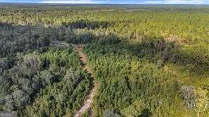 641 Us Highway 80 E Ellabell, GA 31308