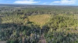 641 Us Highway 80 E Ellabell, GA 31308