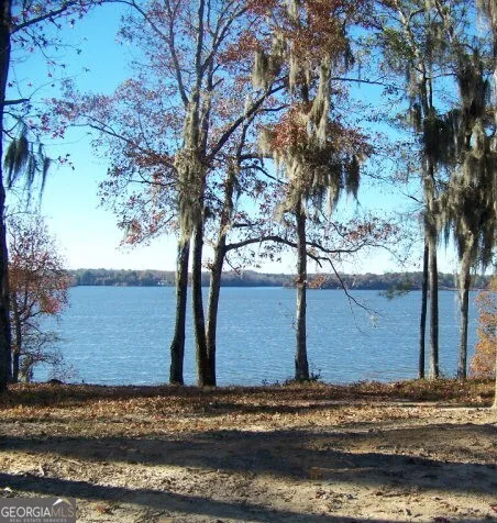 0 Point DR Georgetown, GA 39854