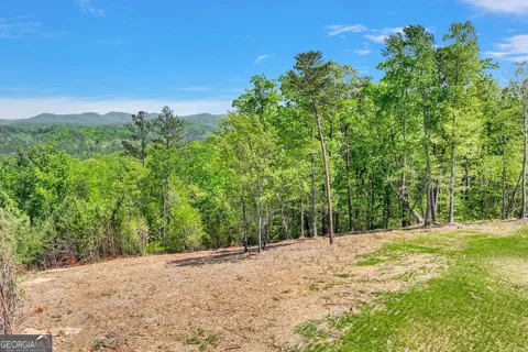 655 Lookout Valley TRL