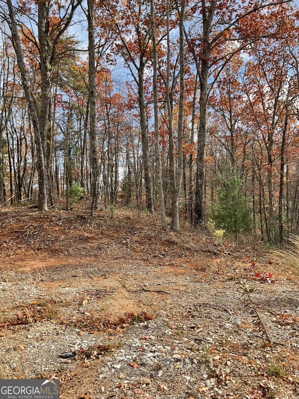 0 Lynn DR Clayton, GA 30525