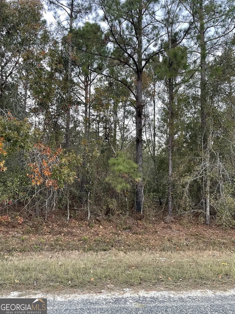 0 Shuffletown RD Twin City, GA 30471