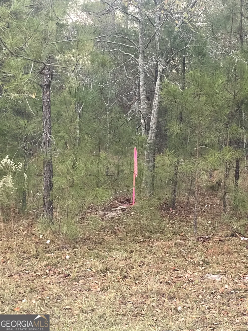 0 CANOOCHEE BYPASS RD Twin City, GA 30471