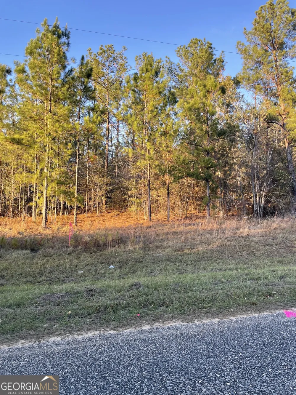 0 CANOOCHEE BYPASS RD Twin City, GA 30471