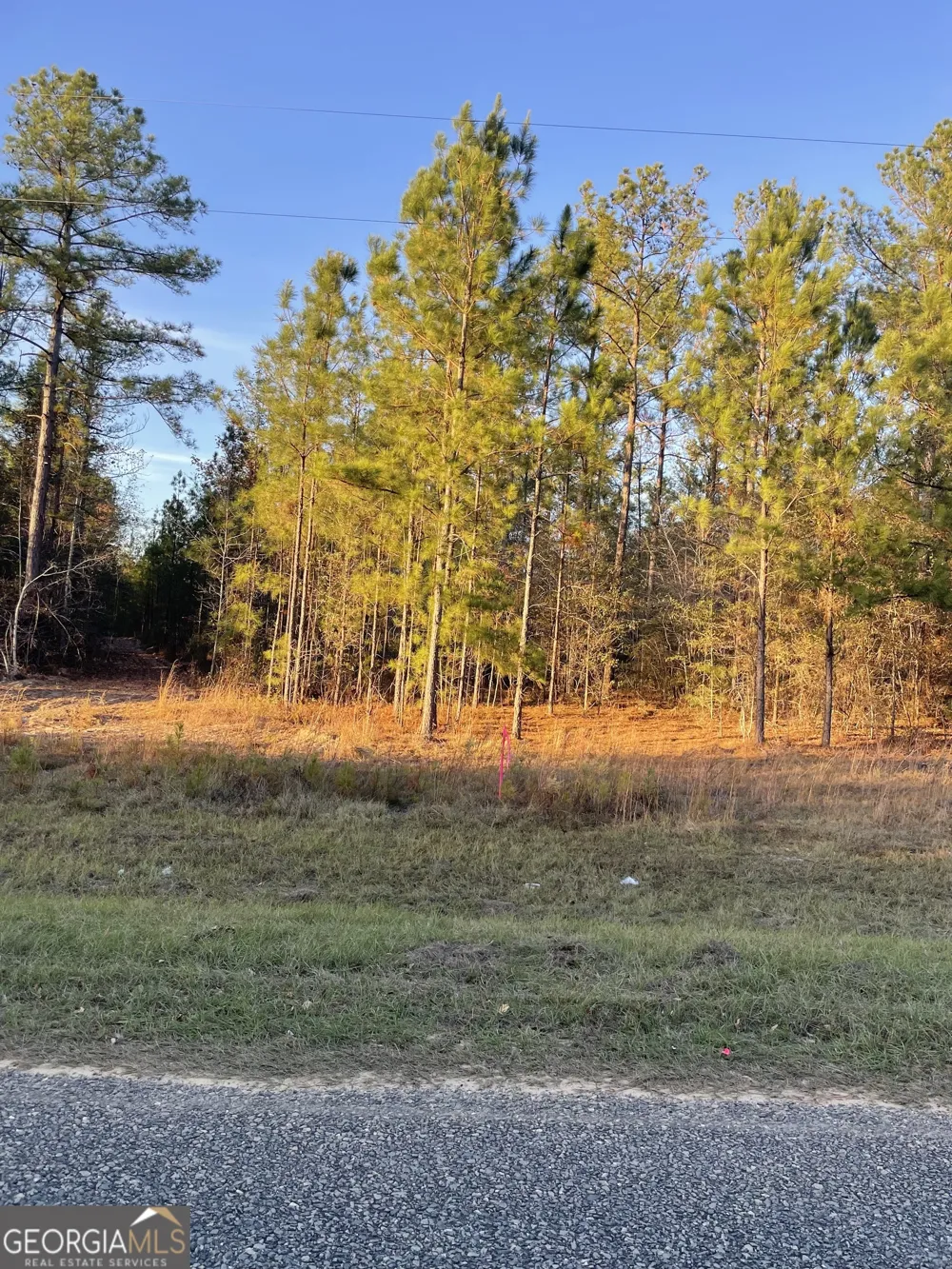 0 CANOOCHEE BYPASS RD Twin City, GA 30471
