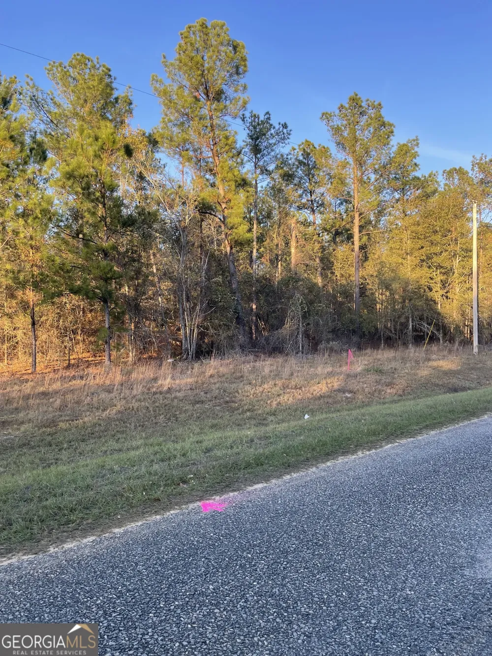 0 CANOOCHEE BYPASS RD Twin City, GA 30471