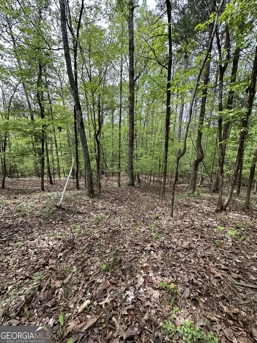 2762 Smith RD Fortson, GA 31808