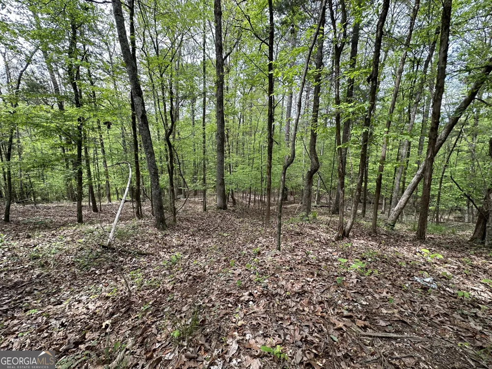 2762 Smith RD Fortson, GA 31808