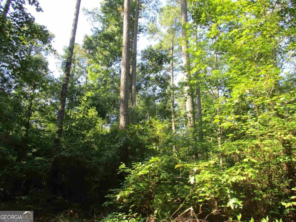 0 Holman RD Monticello, GA 31064