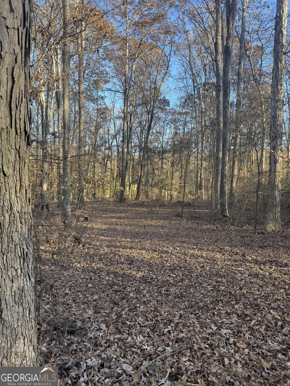 1475 Whispering WAY Statham, GA 30666