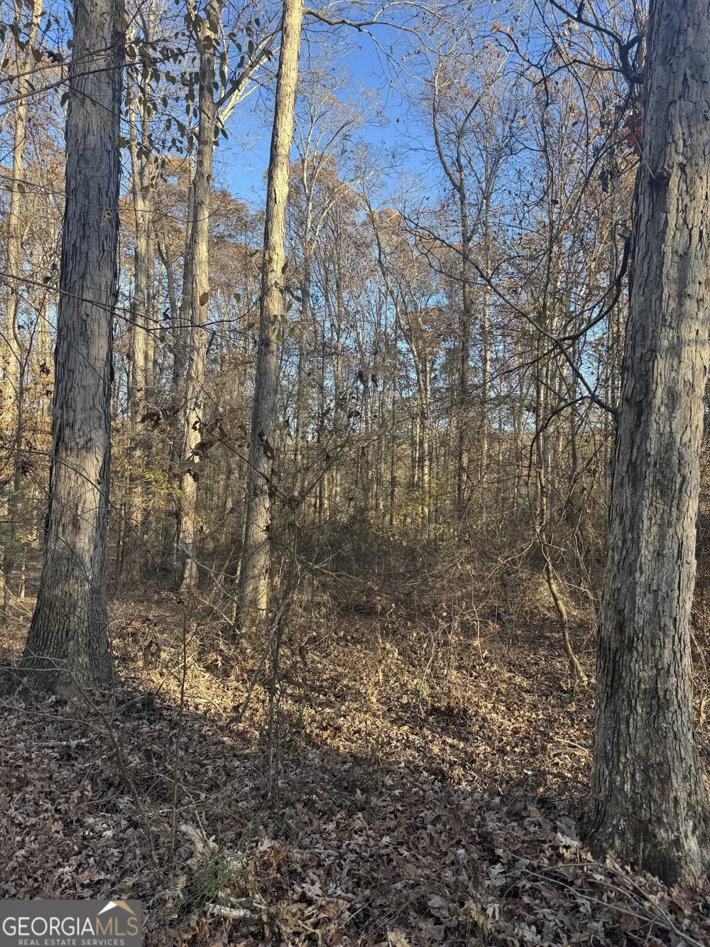 1475 Whispering WAY Statham, GA 30666