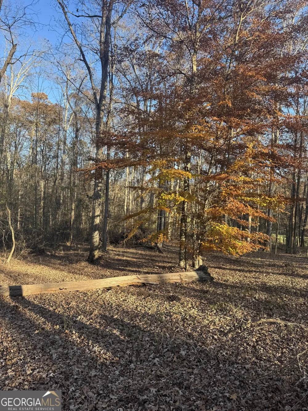 1475 Whispering WAY Statham, GA 30666