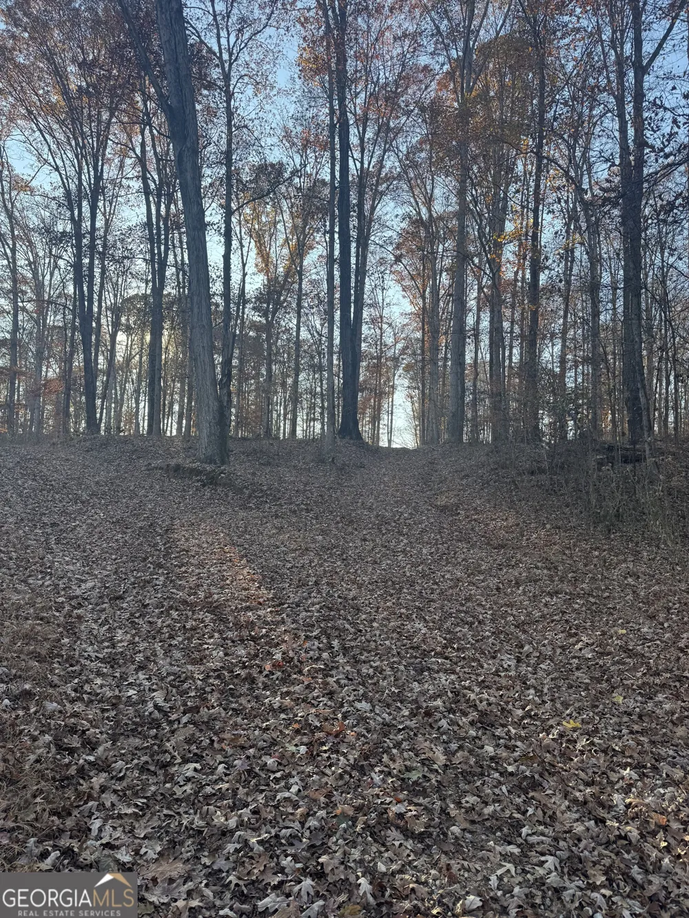 1475 Whispering WAY Statham, GA 30666