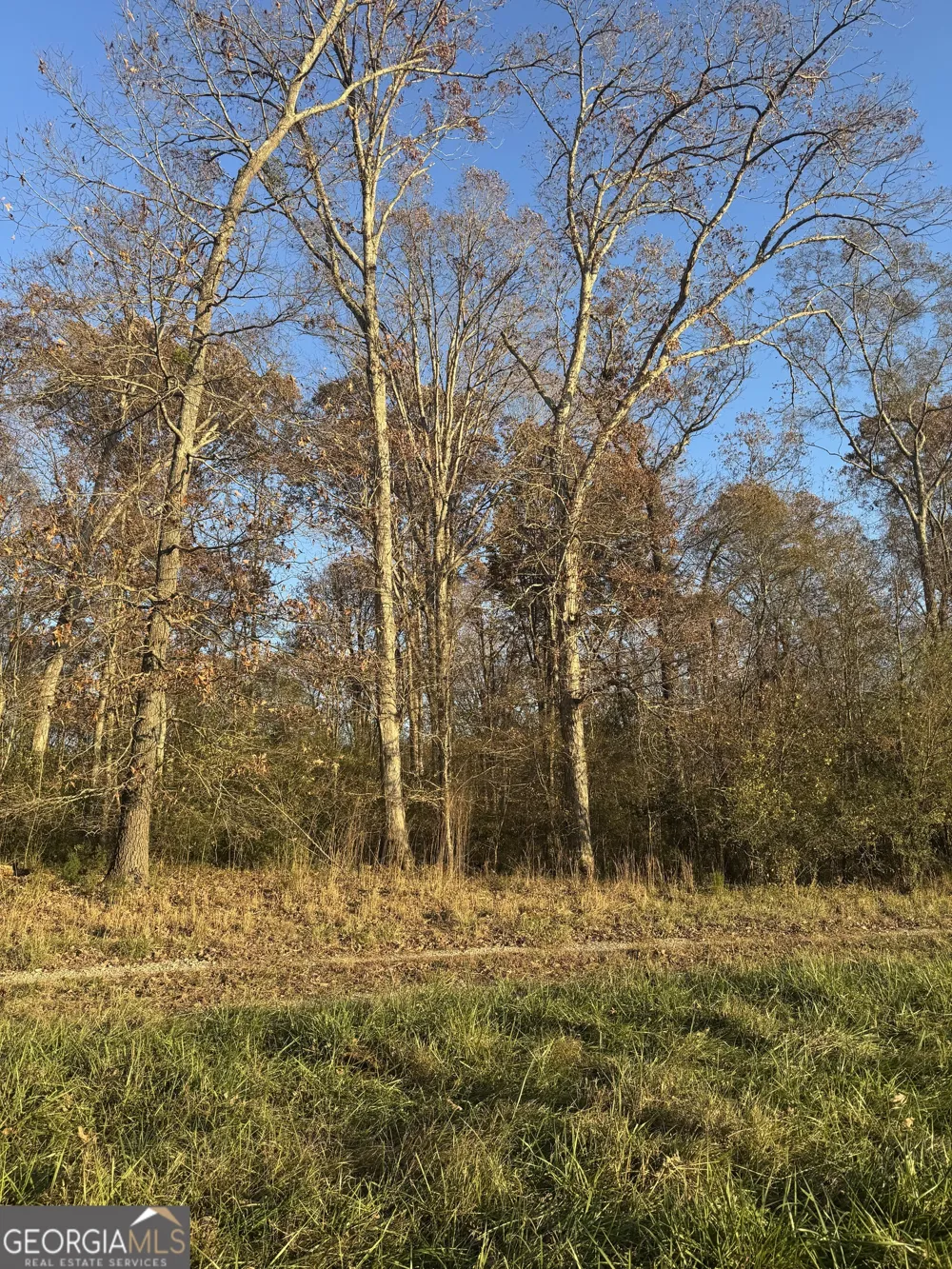 2540 Oakley TRL Statham, GA 30666
