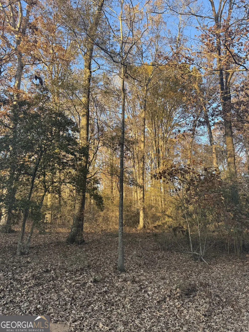 2540 Oakley TRL Statham, GA 30666