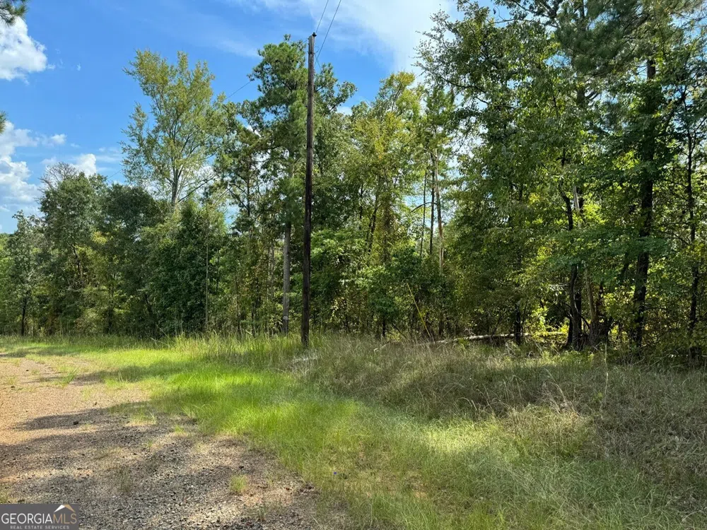 0 Day Lilly LN Sparta, GA 31087