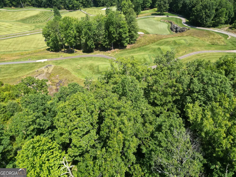 J35 Bent Grass Clayton, GA 30525